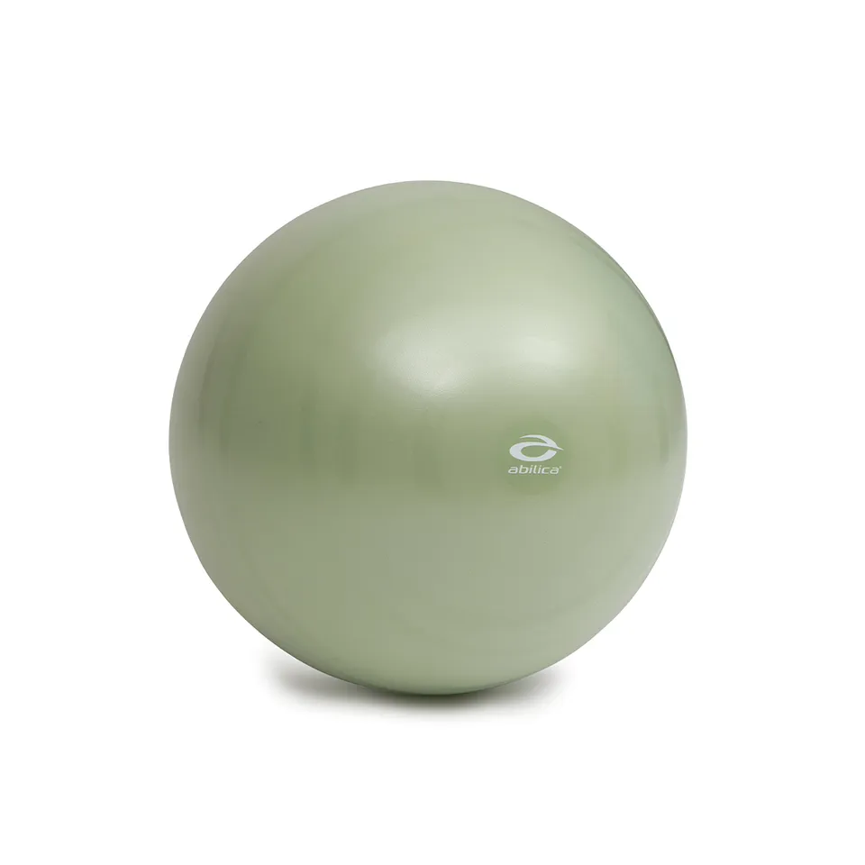 abilica-fitnessball-ballon-gym-65-cm-avec-pompe-165-kg image 1