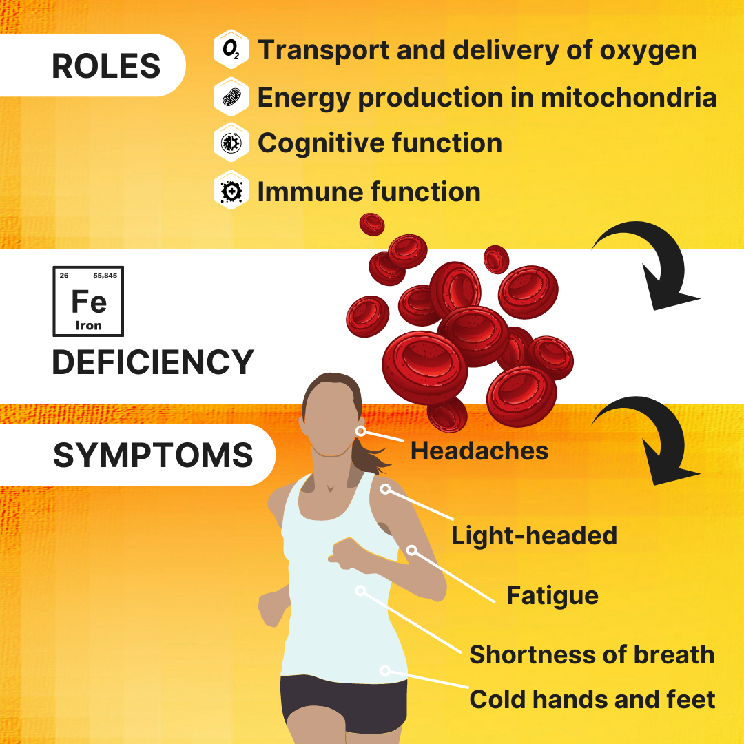 4endurance-iron-fer-20-mg-g-lules-vitamine-c image 5