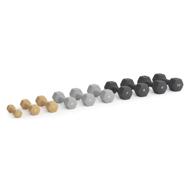 abilica-dumbbells-halt-re-musculation-n-opr-ne-10-kg image 1