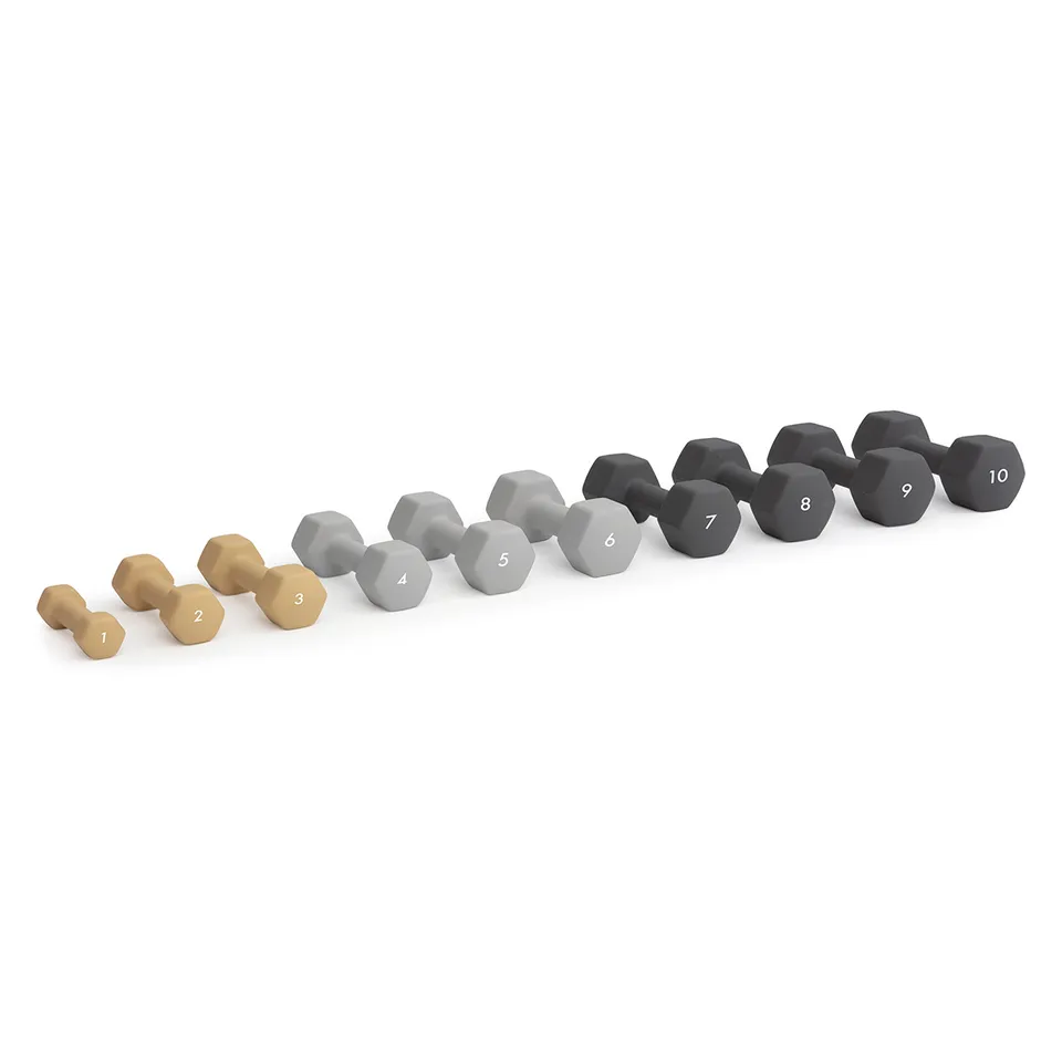 abilica-dumbbells-halt-re-musculation-n-opr-ne-10-kg image 1