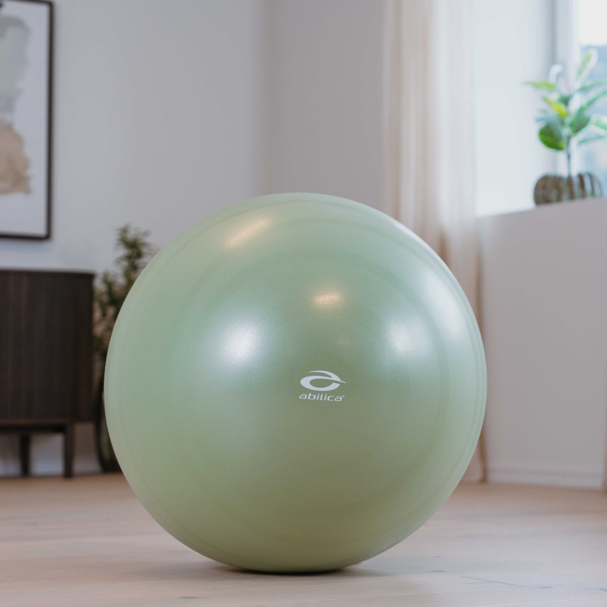 abilica-fitnessball-ballon-gym-65-cm-avec-pompe-165-kg image 3