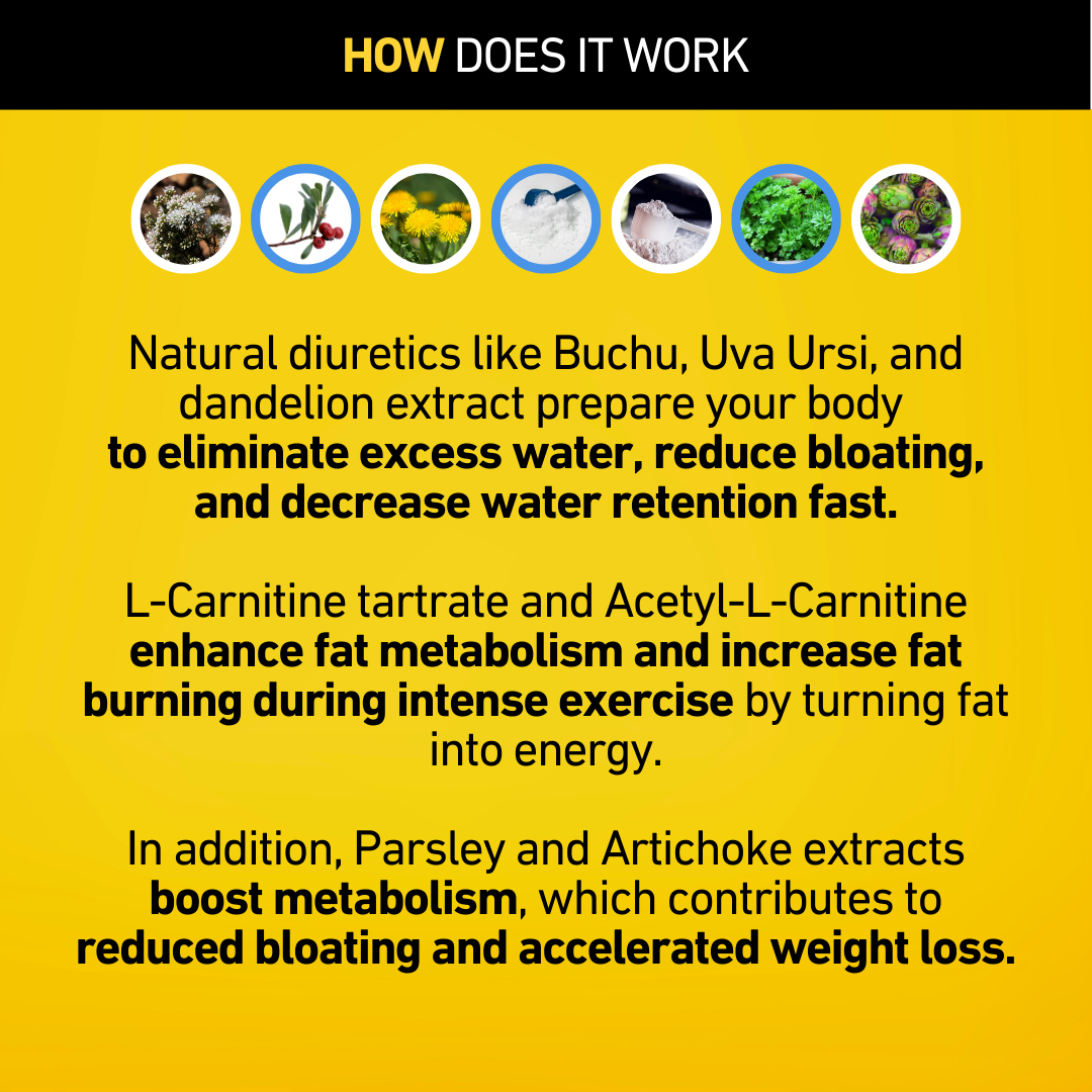 4endurance-formulas-meltdown-draineur-l-carnitine-3-jours image 7