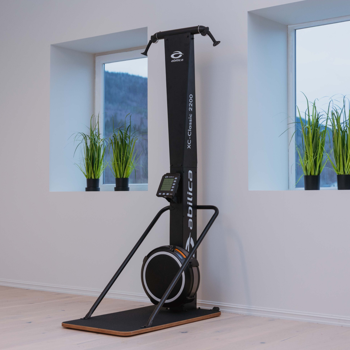 abilica-premium-xc-classic-2200-ski-erg-16-niveaux image 3